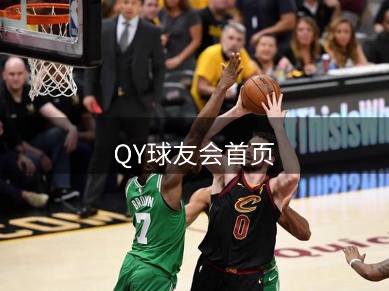 网站简介